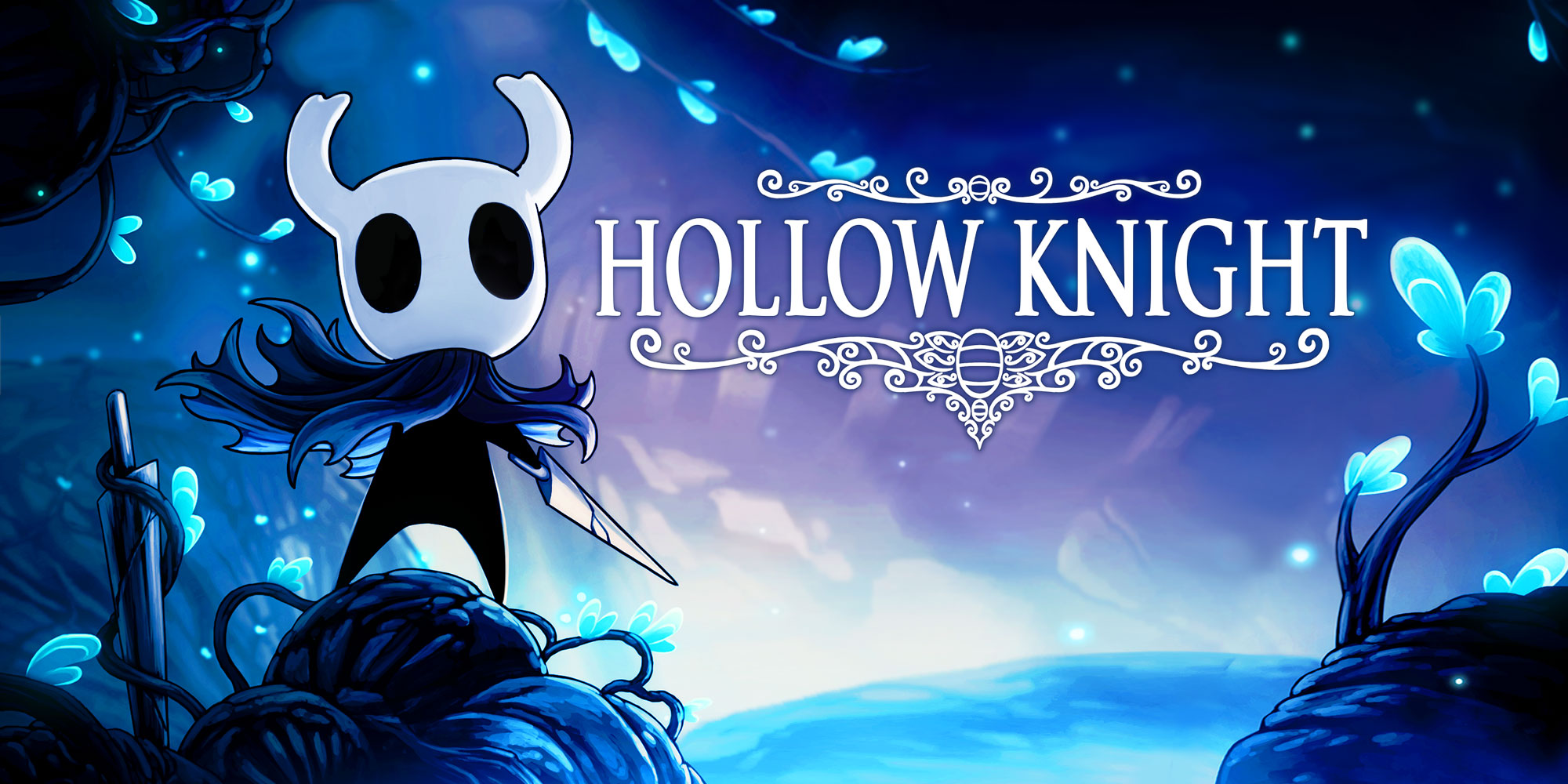HollowKnight screenshot 1